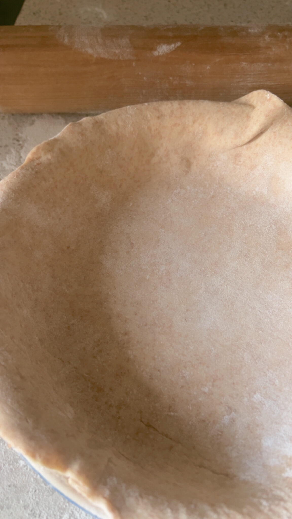 Chicken Pie Base