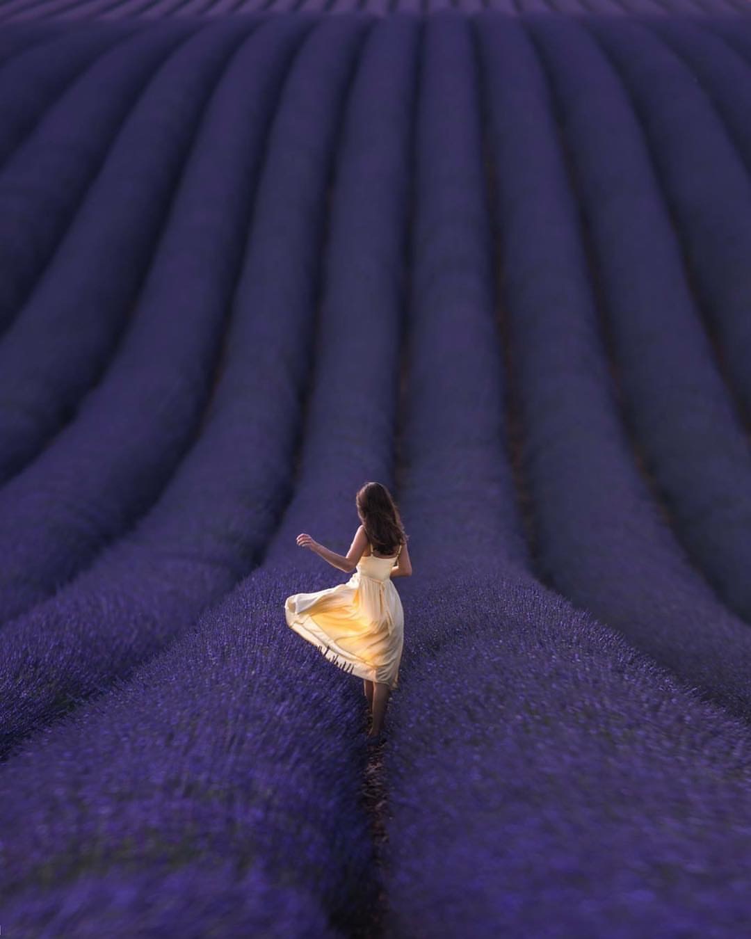 Here Are The Most Beautiful French Lavender Fields on Instagram