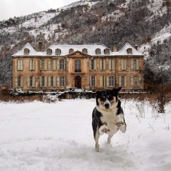 Chateau de Gudanes and their dog