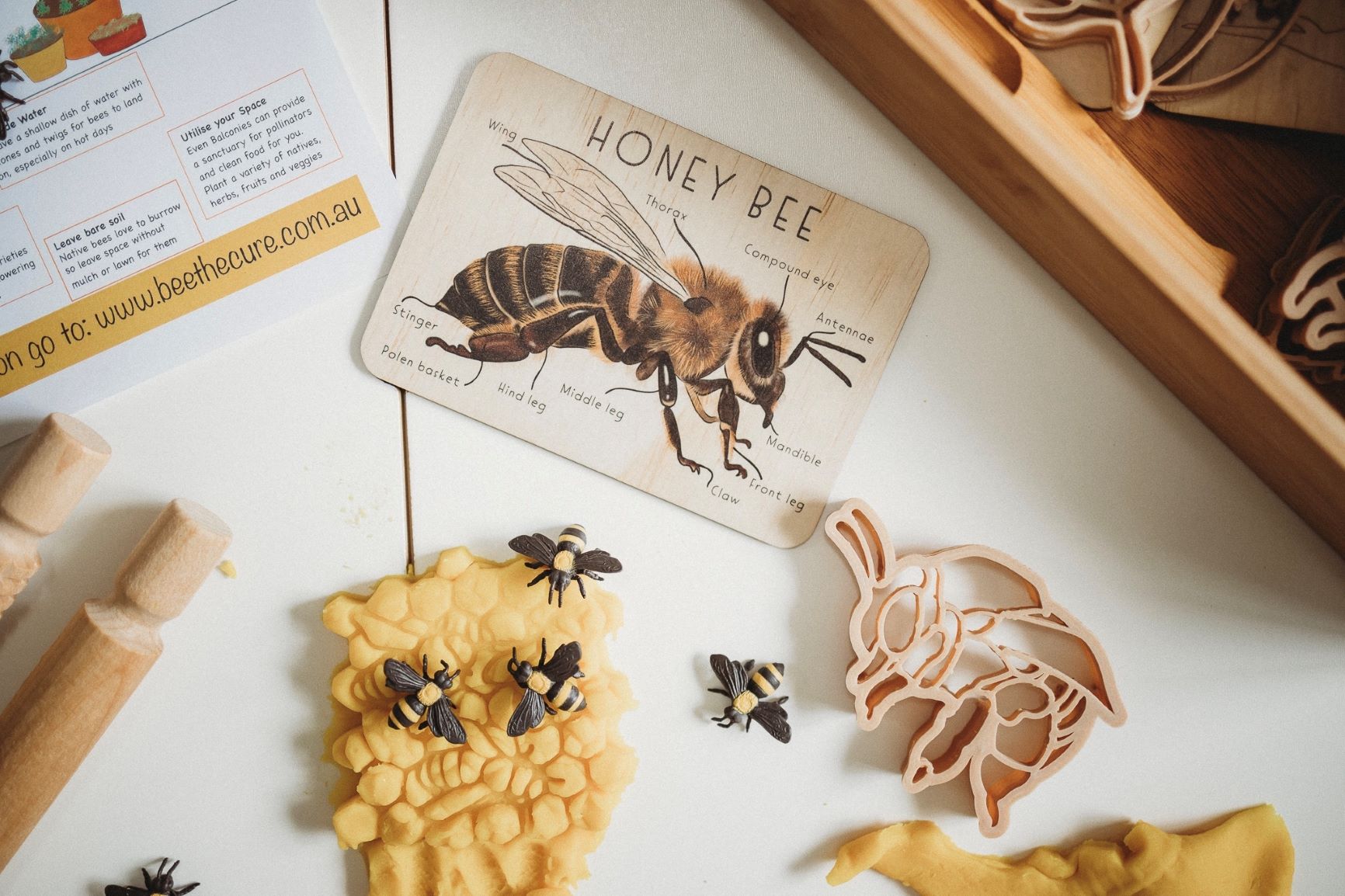 Honey Bee and Hive Eco Cutter Set Little French Heart Kinfolk