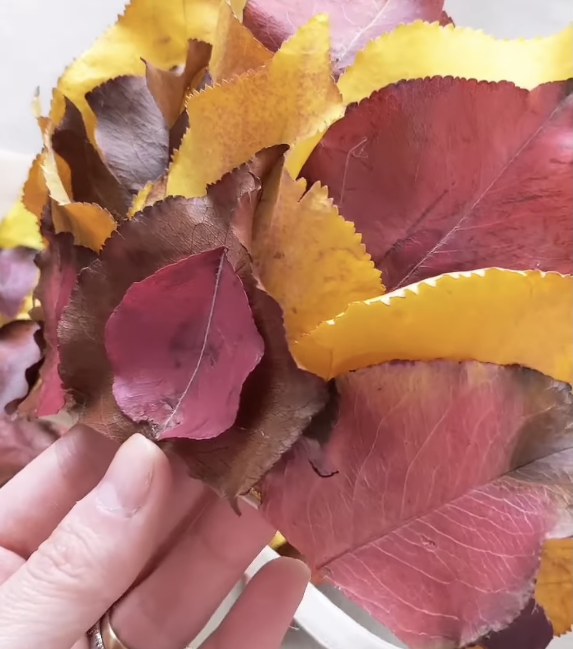 Heart of Blooms Autumn Leaf Flower Crown