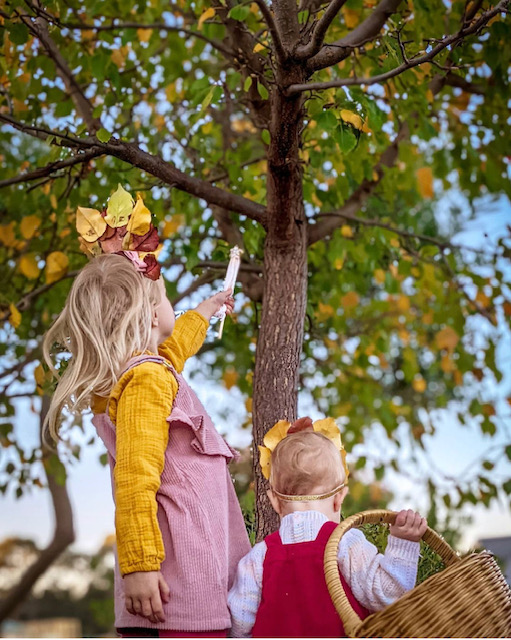 Heart of Blooms Autumn Leaf Flower Crown