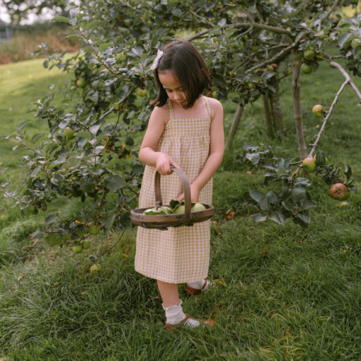 Daisy Chain Dress Hay Check Linen girls picking apples - Little French Heart