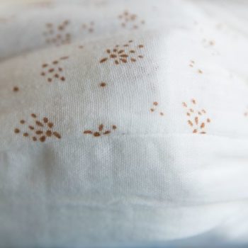 Gabrielle Paris Single Bed Quilt Set Etincelle Miel Print - Little French Heart