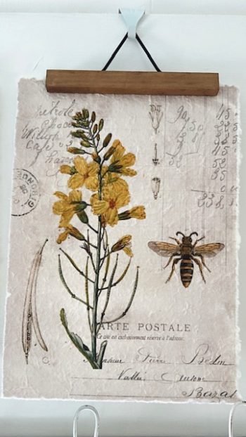 Botanica Print - Little French Heart