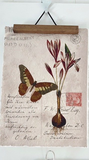 Botanica Print - Little French Heart Butterfly study