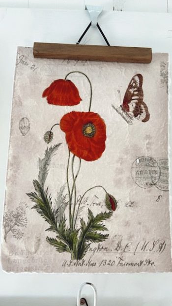 Botanica Print - Little French Heart Poppy Study