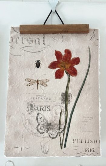 Botanica Print - Little French Heart Red Flower Study