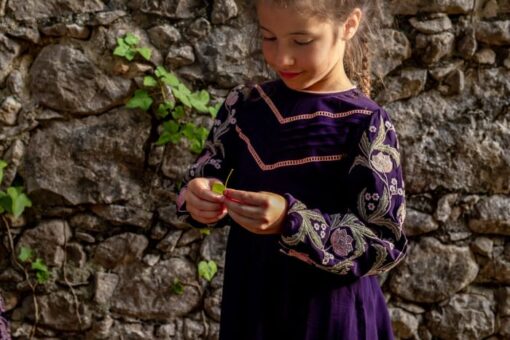 Bachaa Danae Dress ornate embroidery - Little French Heart