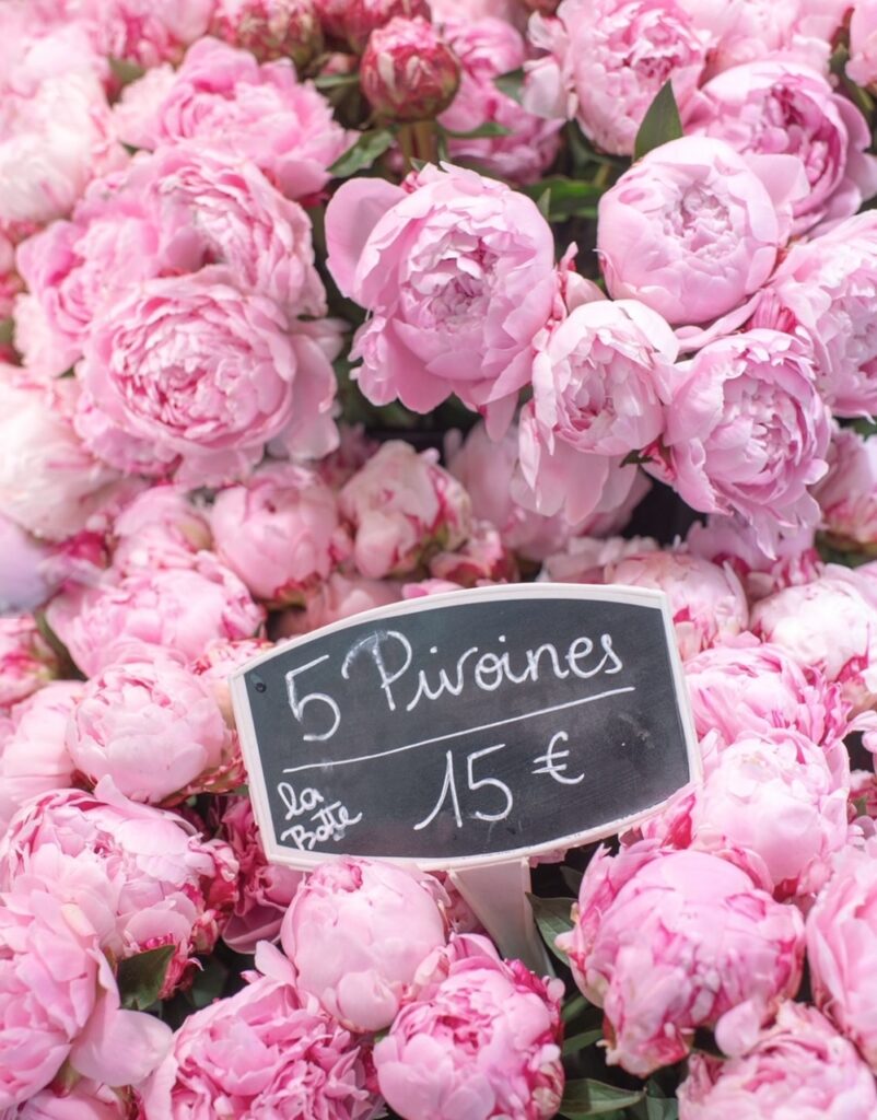 Peonies of Paris | Little French Heart