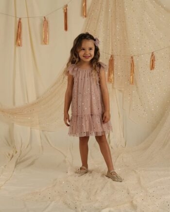 noralee edie dress rose stars 2 - little french heart