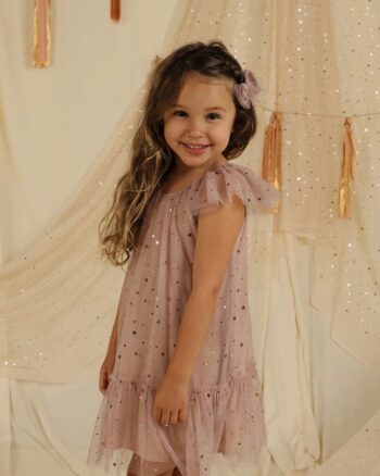 noralee edie dress rose stars - little french heart