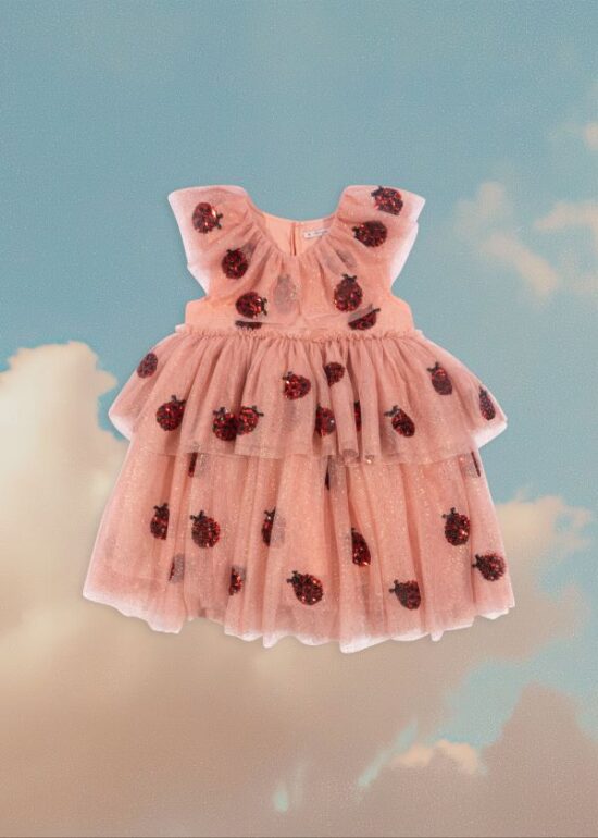 Konges Yvonne Fairy Dress front - Ladybird Little French Heart