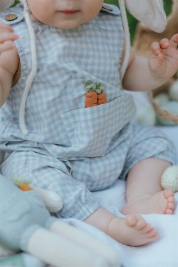 Wild Wawa Pocket Jumpsuit ~ Blue Gingham - Little French Heart