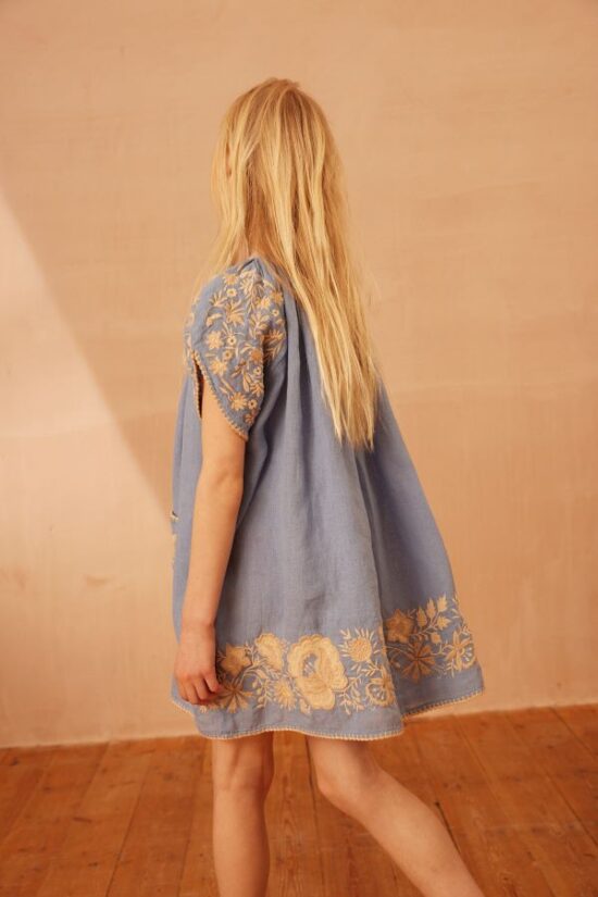 Apolina Fay Dress Cornflower - Image 4