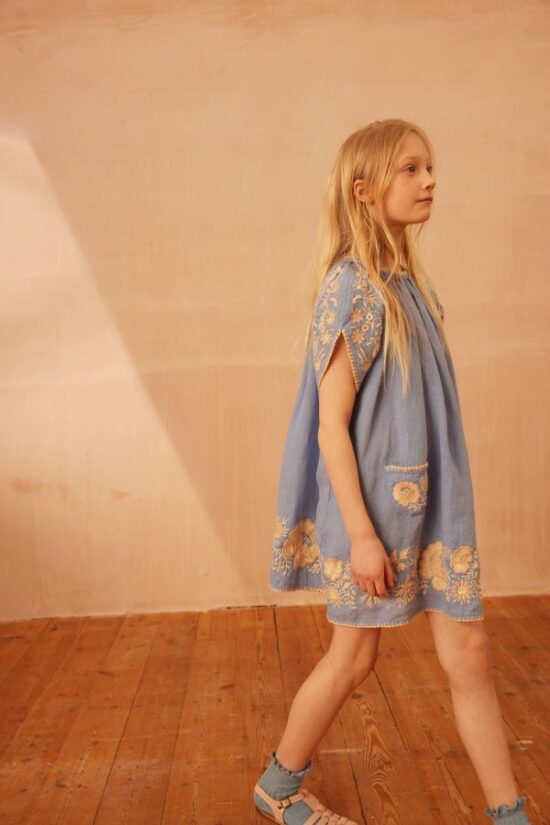 Apolina Fay Dress Cornflower - Image 5