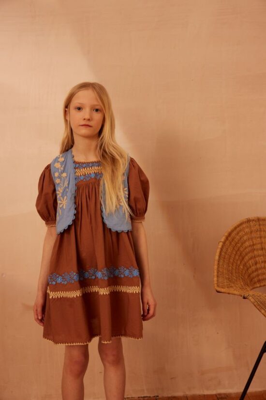 Apolina Patsy Dress Nut - Image 5
