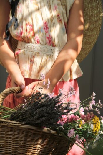 Bonjour Diary Antoinette Romantique Top and panties