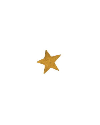 Boncoeur Medium Star Wall Jewel