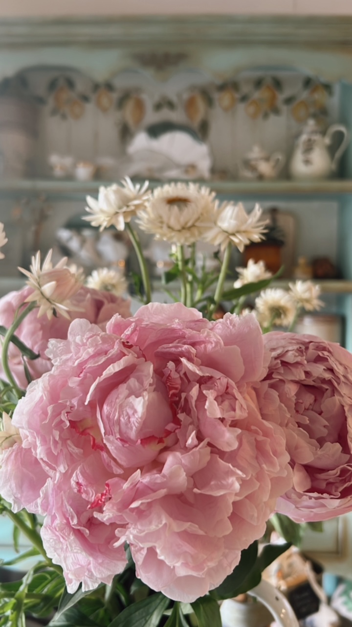 How to care for your peony bouquet - Peony in Full Bloom