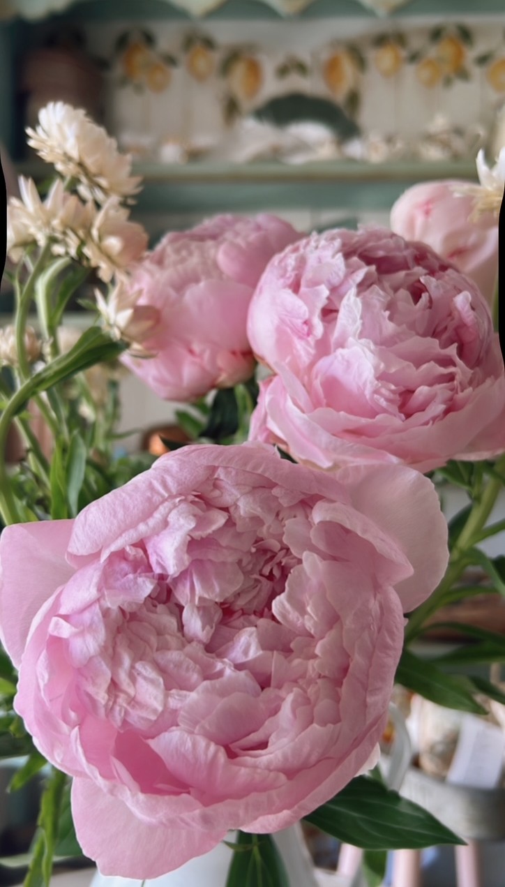 How to Care for Your Peony Bouquet 4 How to care for your peony bouquet