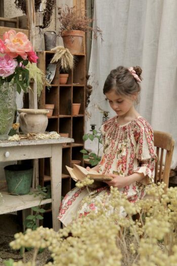 Bonjour Diary Jacqueline Butterfly Dress