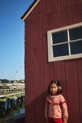 Alternative view of Misha & Puff Scallop Yoke Cardigan Prairie Rose