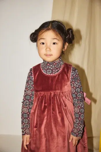 Alternative view of Misha & Puff Velvet Esme Dress Madder Root