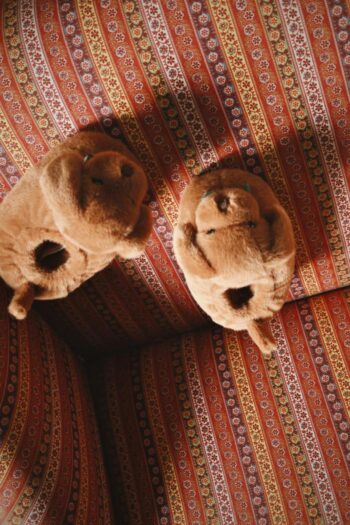 Konges Slojd Sausage Dog Footies Side