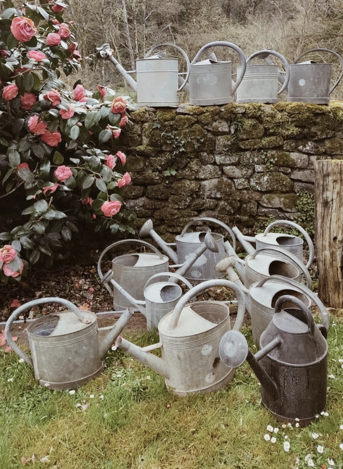 Aurelie Favennec of My French Finds