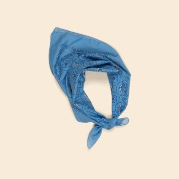 Apolina Signature Voile Scarf Blue Book