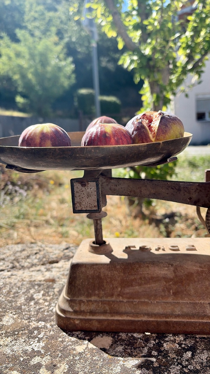 Saignon Provence: a Breath of Fresh Air 6 Saignon, Provence Figs weighed the old way - Little French Heart
