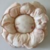 Boramiri Dream Fleur Toile Rose Wall Decor